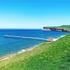 Saltburn By The Sea Paint by number