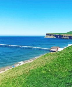 Saltburn By The Sea Paint by number