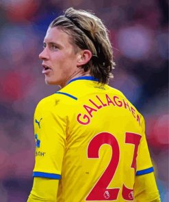 The Player Gallagher paint by number