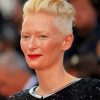 Tilda Swinton Actress paint by number