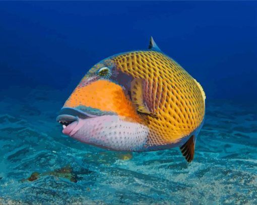 Triggerfish Undersea paint by number