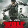 Wolf Warrior Movie paint by number