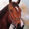 Aesthetic Brown Horse Head Paint by number