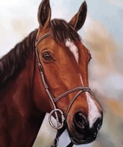 Aesthetic Brown Horse Head Paint by number