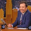 Aesthetic Jimmy Fallon paint by number