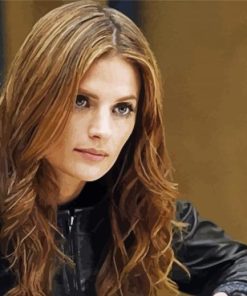 Aesthetic Stana Katic paint by number