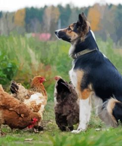 Aesthetic Dog With Chickens paint by number