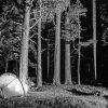 Black And White Forest And Camping paint by number