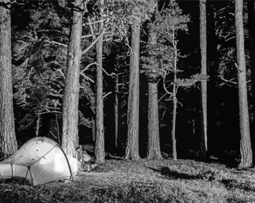 Black And White Forest And Camping paint by number