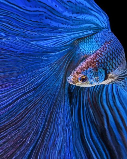 Blue Betta Fish paint by number