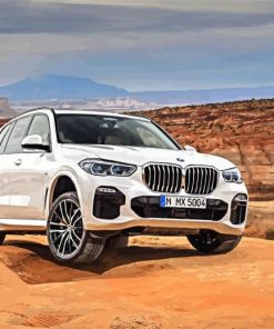 Bmw X5 White Car paint by number