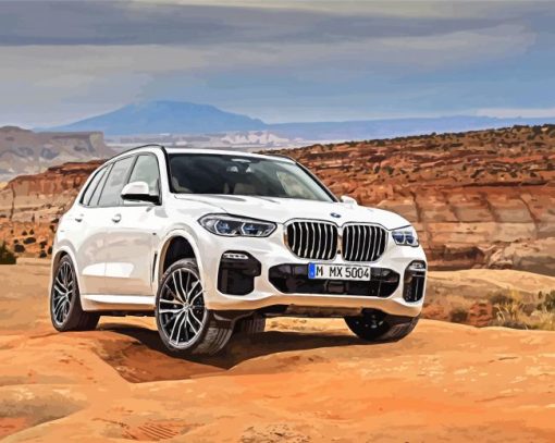 Bmw X5 White Car paint by number