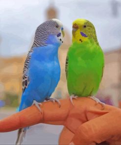 Budgies On Hand paint by number