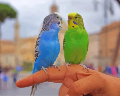 Budgies On Hand paint by number