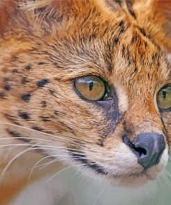 Cute Serval paint by number