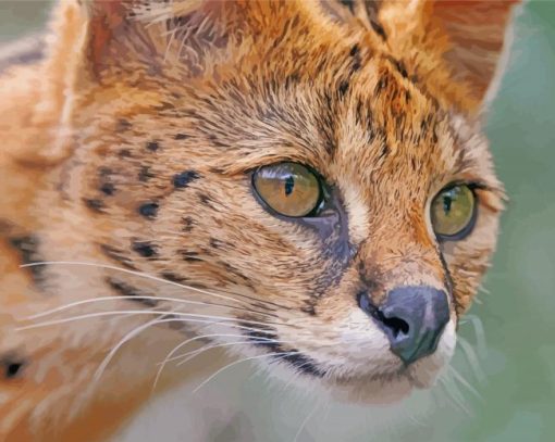 Cute Serval paint by number