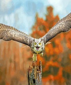 Flying Horned Owl paint by number