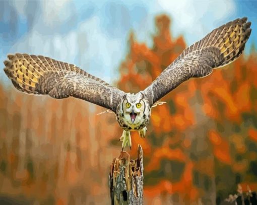 Flying Horned Owl paint by number