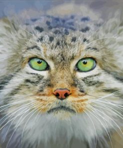 Green Eyed Manul paint by number