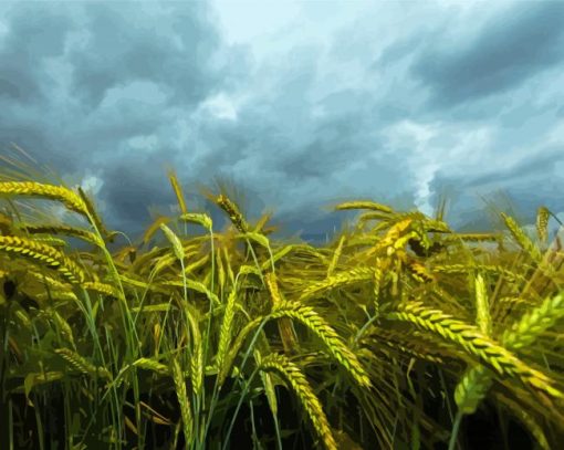 Green Malt Field paint by number