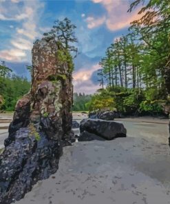 Haida Gwaii Beach Forest paint by number