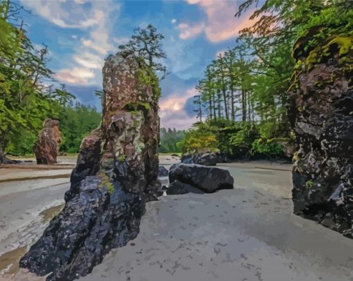 Haida Gwaii Beach Forest paint by number