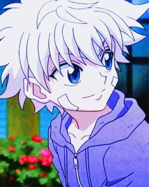 Killua Animated Character paint by number