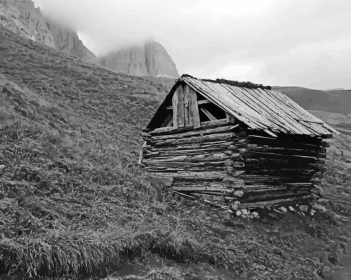 Old Black And White Barns paint by number