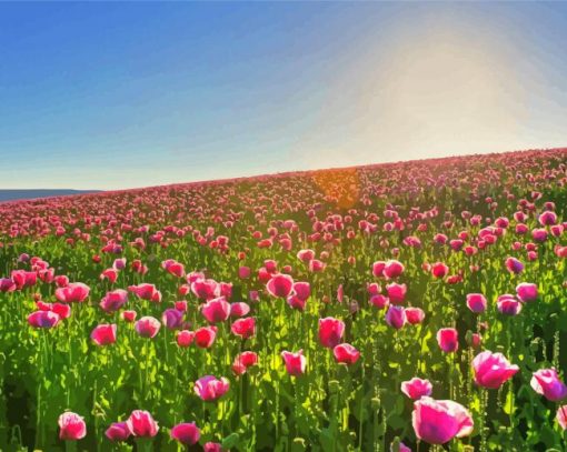 Pink Flowers In Field paint by number