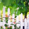 Plant On White Picket Fence paint by number