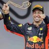 The Australian Car Racer Daniel Ricciardo paint by number