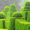 Topiary Garden In Rain paint by number