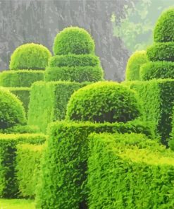 Topiary Garden In Rain paint by number