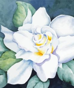 White Gardenia Flower paint by number