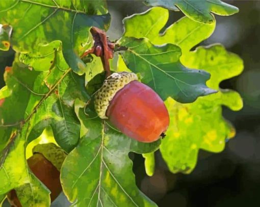 Acorn And Leaves paint by number