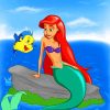 Ariel Mermaid And Flounder Fish paint by number