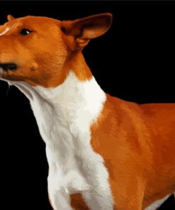 Basenji Dog paint by number