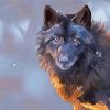 Black And Brown Wolf paint by number