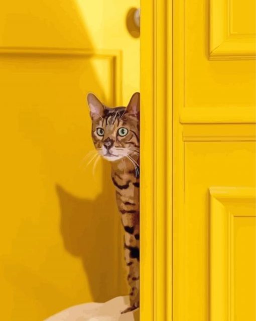 Cat Yellow Wall paint by number