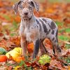 Catahoula paint by number