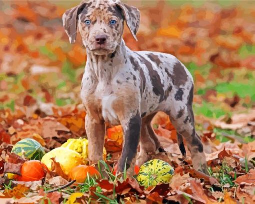 Catahoula paint by number