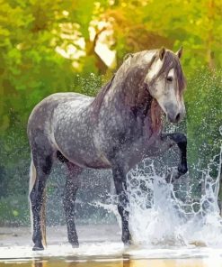 Dapple Horse In Water paint by number