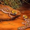 Desert Gecko Reptile paint by number