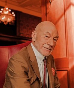 English Actor Patrick Stewart paint by number