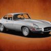 Grey Jaguar Type 1 Art paint by number