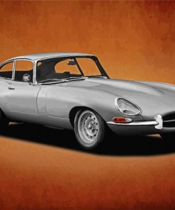 Grey Jaguar Type 1 Art paint by number