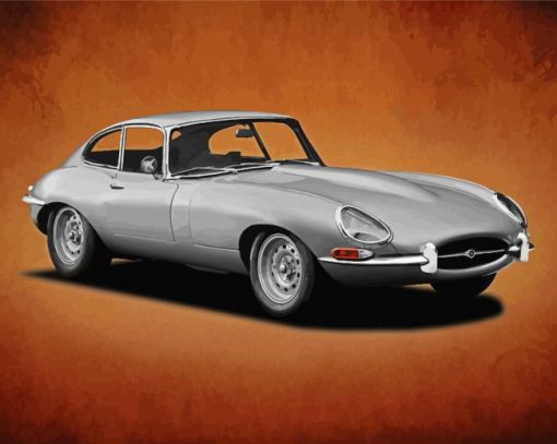 Grey Jaguar Type 1 Art paint by number