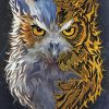 Half Owl And Wolf Paint by number