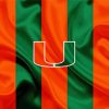 Miami Football Logo paint by number