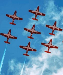 Military Snowbirds Show paint by number